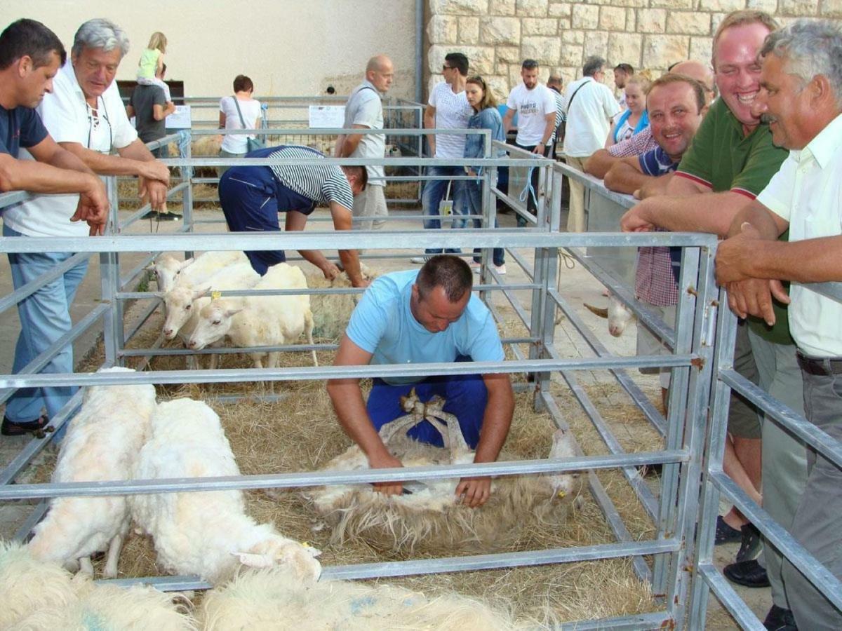 Appartamento Adriatic Arteon Baška Esterno foto